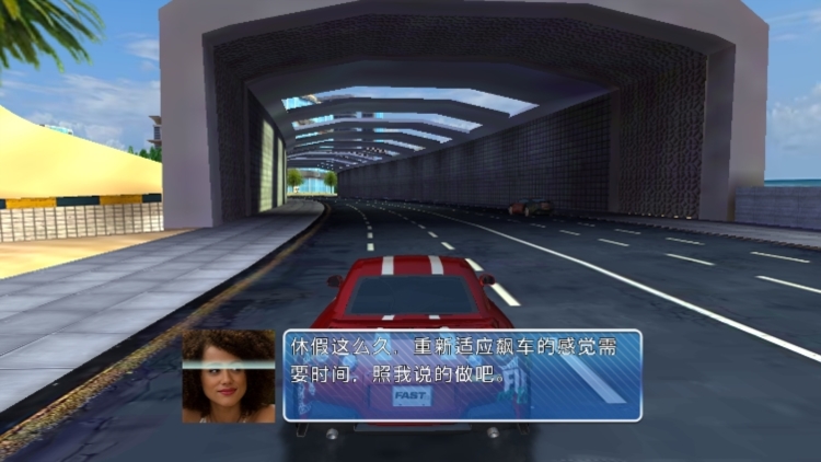 速度与激情8