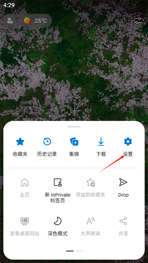 Rains浏览器
