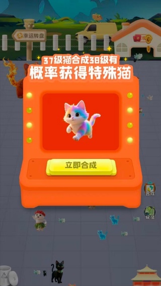 猫咪小能手