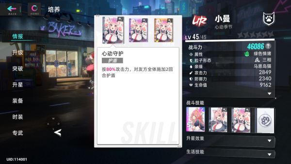 猫之城国际服