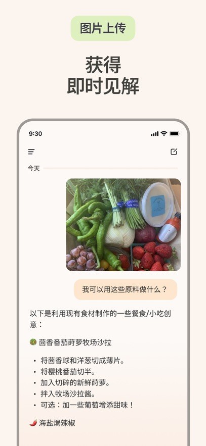 Copilot截图2
