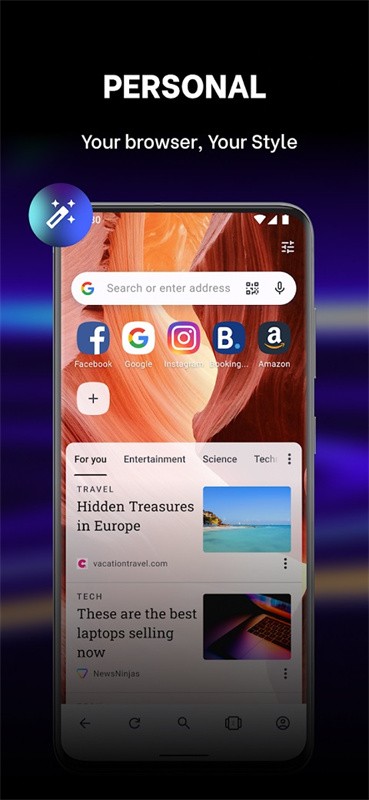 Opera浏览器截图1