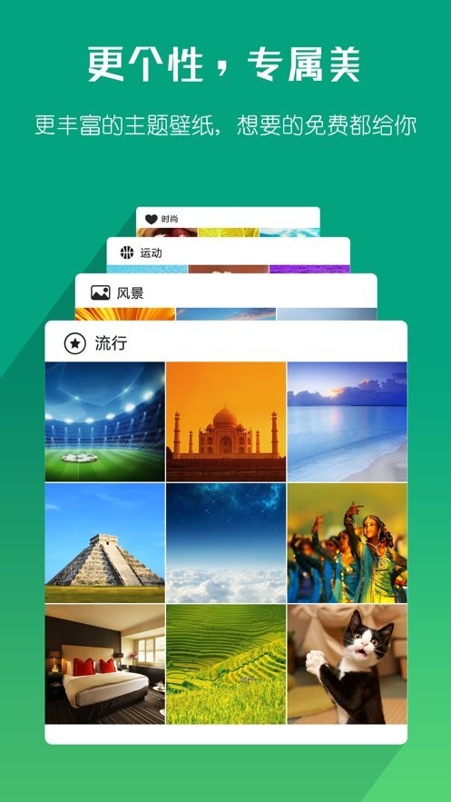 海豚浏览器Flash版截图3