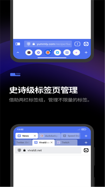 vivaldi浏览器截图1