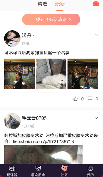 猫语翻译器最新版