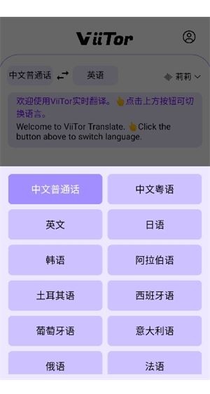 viitor翻译截图3