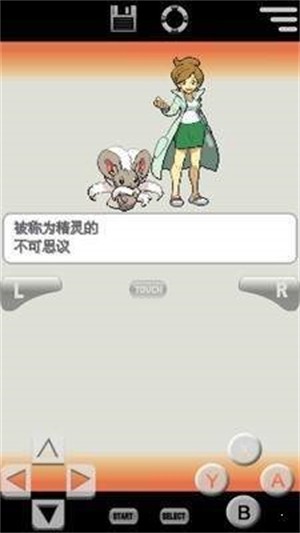 口袋妖怪白2中文版截图2
