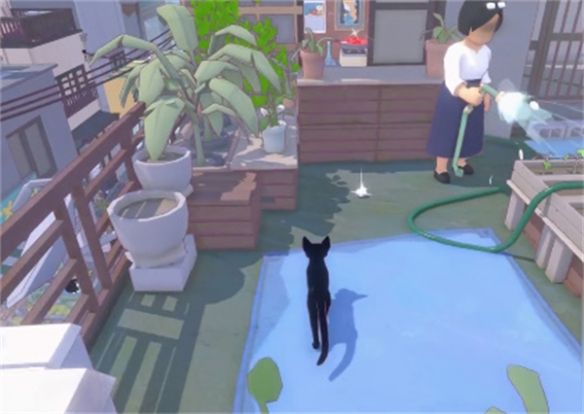 小猫咪大城市