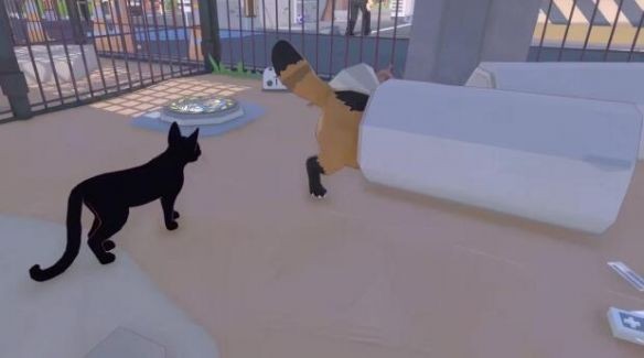 小猫咪大城市截图2