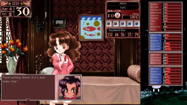 美少女梦工厂2截图4