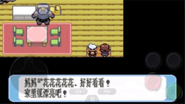 口袋妖怪红宝石中文版截图1