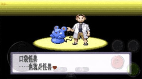 口袋妖怪红宝石中文版截图4