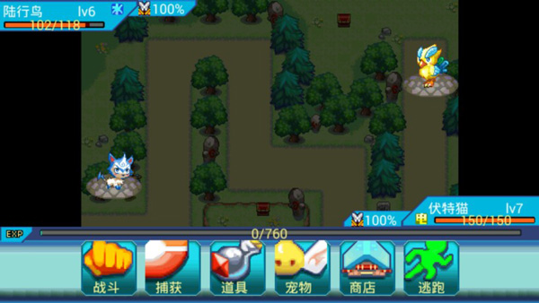 宠物王国6烈火上帝版