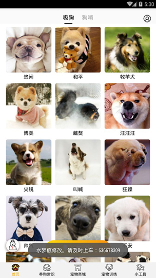 狗语翻译器最新版