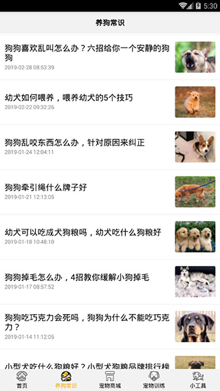 狗语翻译器最新版