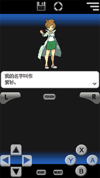 口袋妖怪黑白2手机版截图1