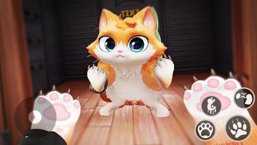 猫咪养成计划