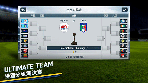 FIFA14截图4