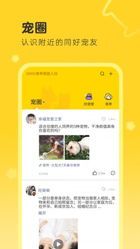 句苗岛截图2