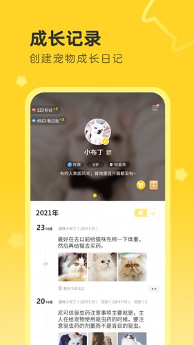 句苗岛截图1