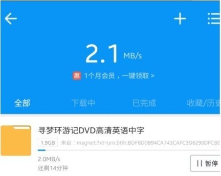 磁力猫高级版