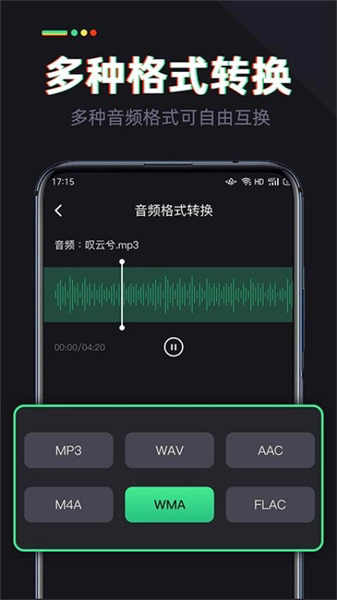 伴奏专家直装版截图1