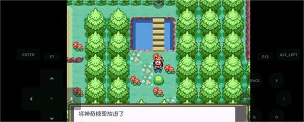 口袋妖怪燃之智3.4汉化版截图3