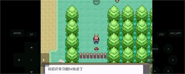 口袋妖怪燃之智3.4汉化版截图4