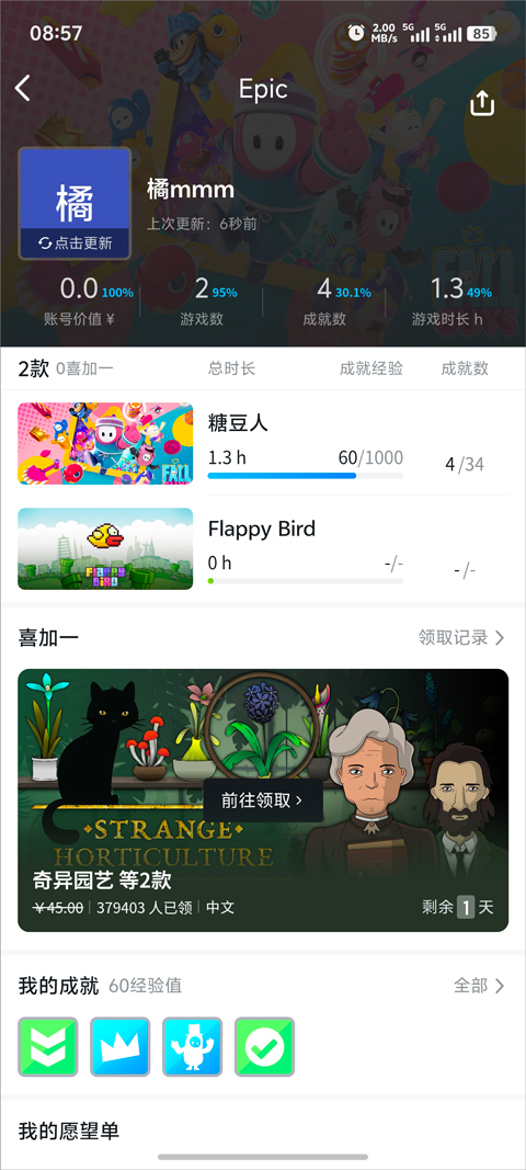 Epic启动器