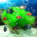 水族馆动态壁纸电视版