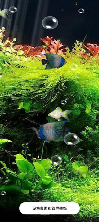 水族馆动态壁纸电视版截图3