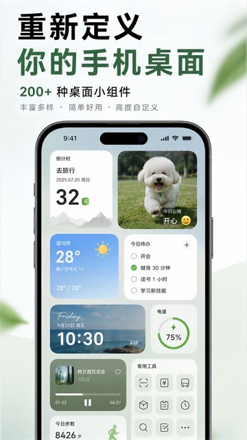 神奇小部件旧版本截图1