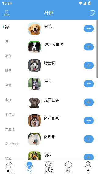 宠物之家
