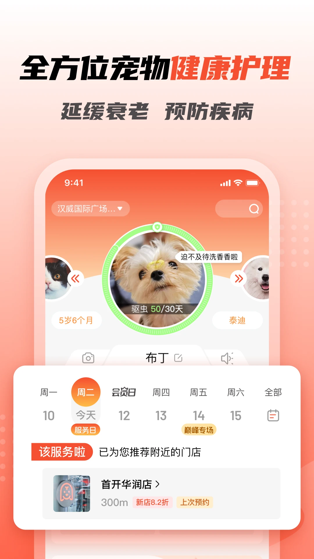 宠物之家截图2