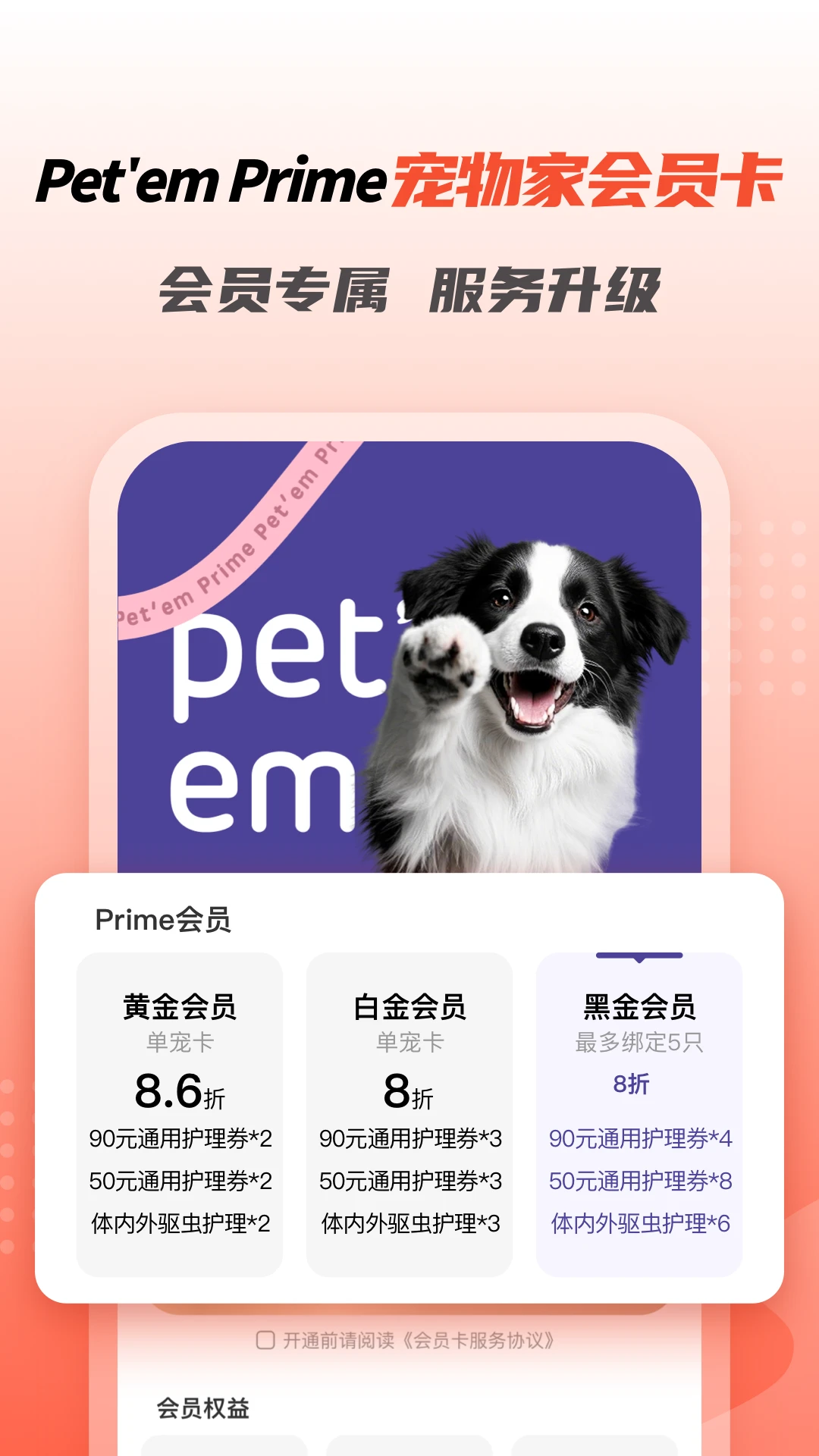 宠物之家截图5