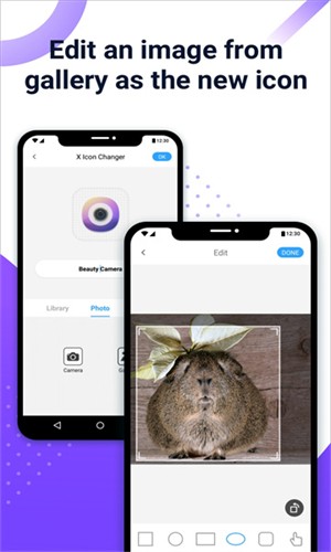 XIconChanger汉化版截图3