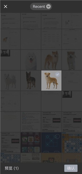 Jicco社区最新版