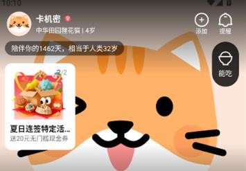 宠胖胖最新版