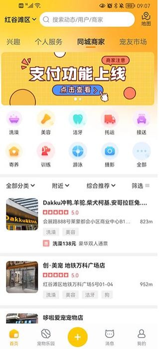 宠胖胖最新版