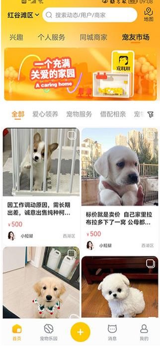 宠胖胖最新版