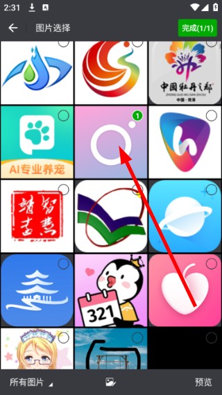 桃花特效相机