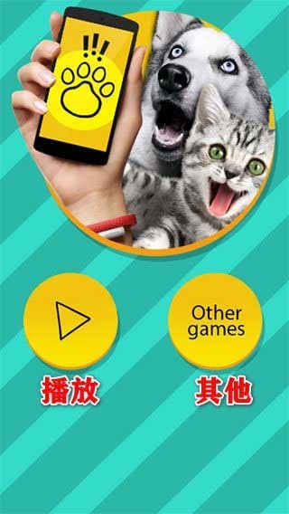 Pettranslator中文版