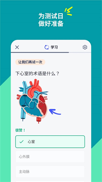 Quizlet中文版截图2