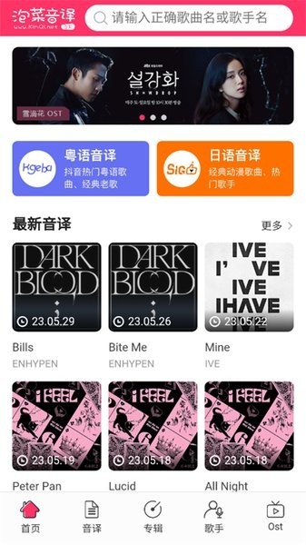 泡菜音译网截图3