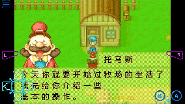 牧场物语矿石镇的伙伴们中文版